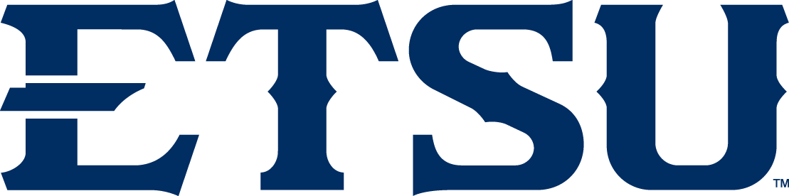 ETSU Buccaneers 2014-Pres Wordmark Logo v2 iron on transfers for clothing